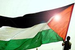 Palestine Solidarity Network